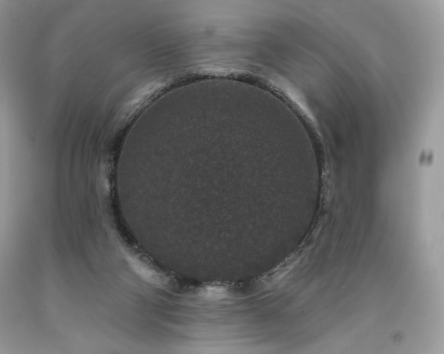 X0000094170114200710261118