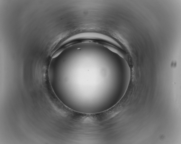 X0000094170115200710261118