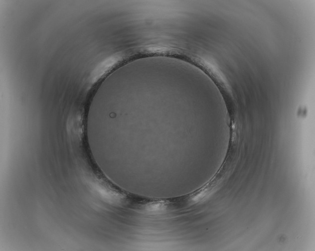 X0000094170116200710261118