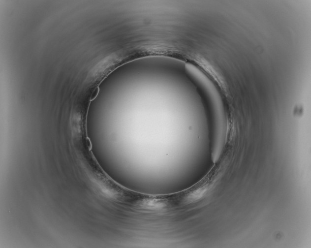 X0000094170117200710261118