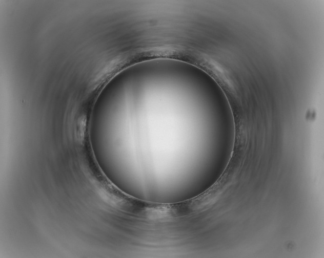 X0000094170118200710261118