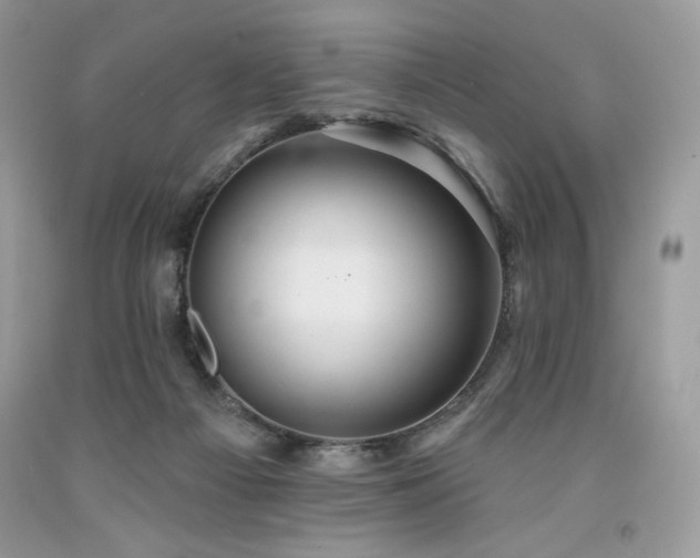 X0000094170121200710261118