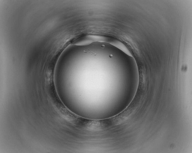 X0000094170123200710261118