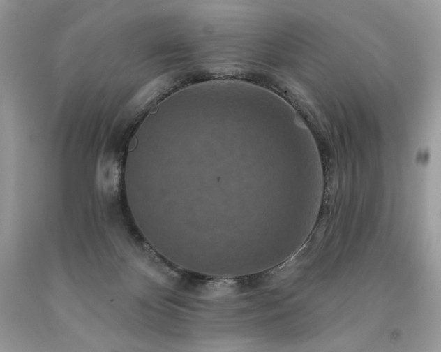 X0000094170124200710261118