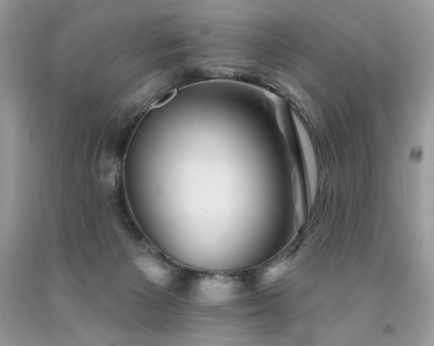 X0000094170125200710261118