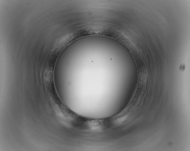 X0000094170126200710261118
