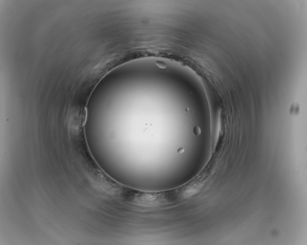 X0000094170129200710261118