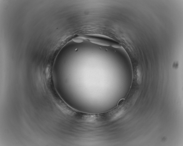 X0000094170131200710261118