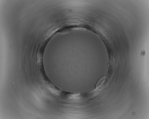 X0000094170132200710261118