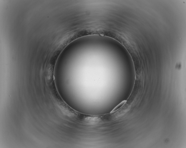 X0000094170133200710261117
