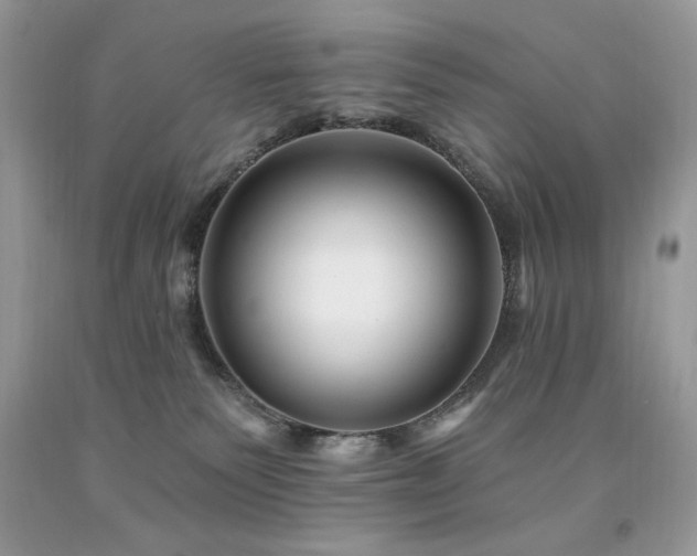 X0000094170135200710261117