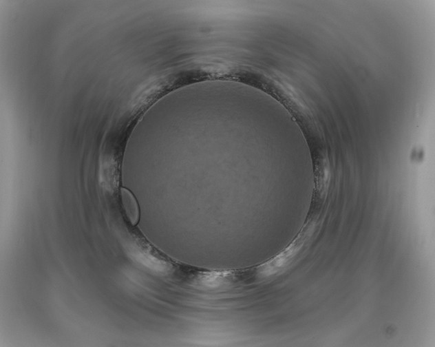 X0000094170136200710261117