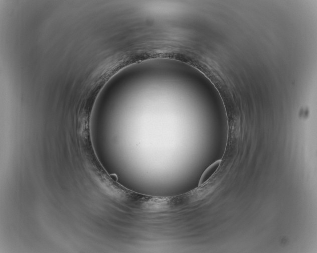 X0000094170138200710261117