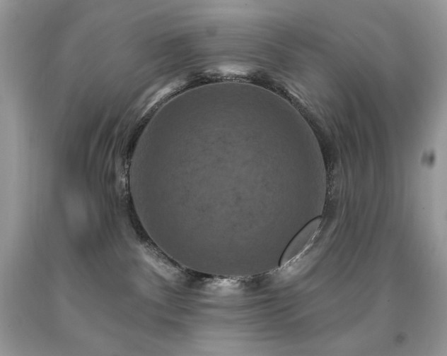X0000094170140200710261117
