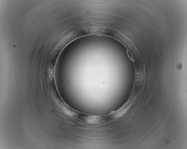 X0000094170142200710261117