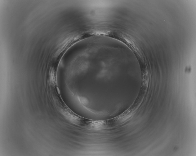 X0000094170143200710261117