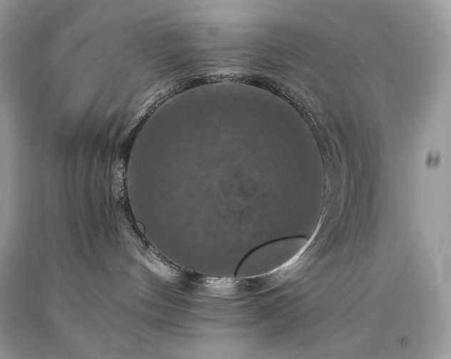 X0000094170144200710261117