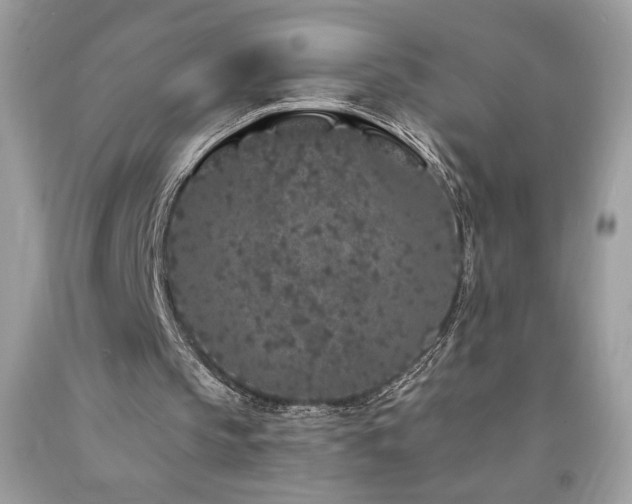 X0000094170145200710261116