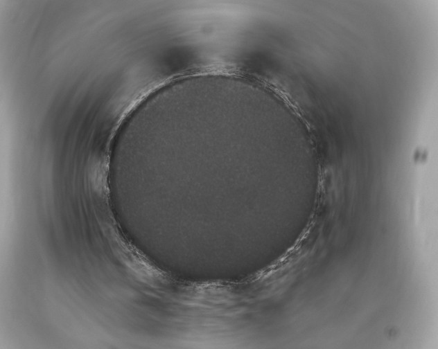 X0000094170146200710261116