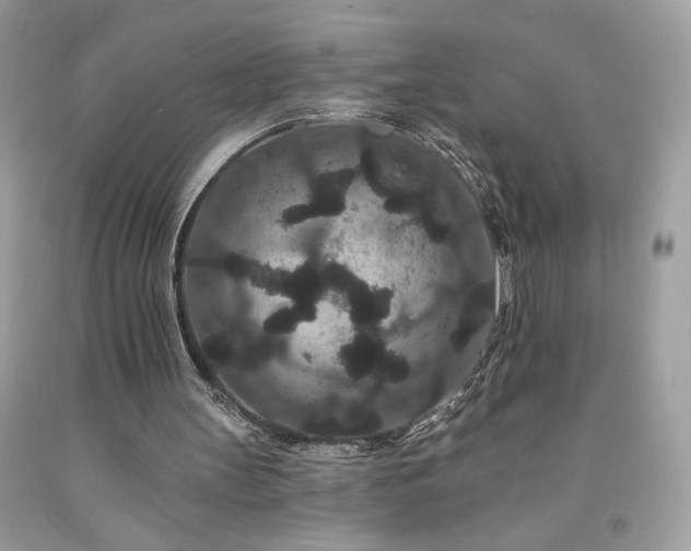 X0000094170147200710261117