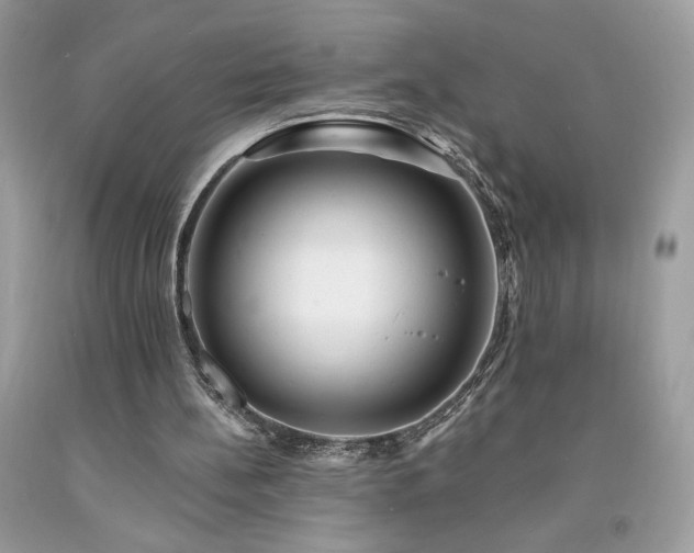 X0000094170148200710261117