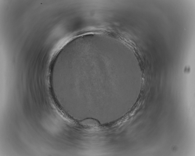 X0000094170149200710261117