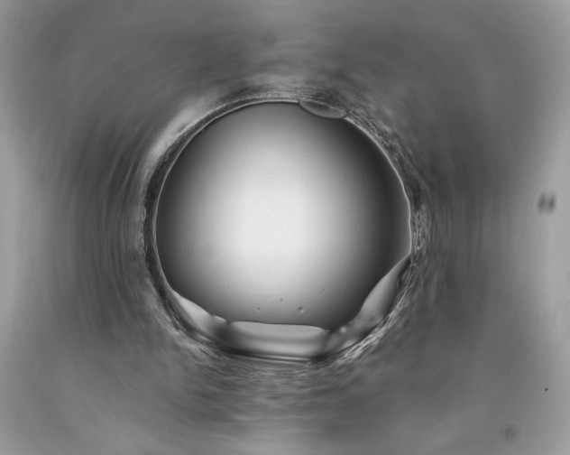 X0000094170150200710261117