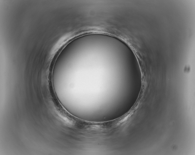 X0000094170151200710261117