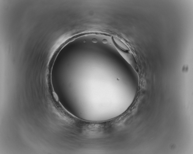 X0000094170152200710261117
