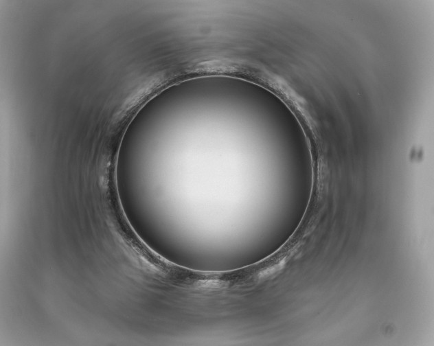 X0000094170153200710261117