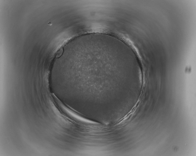 X0000094170154200710261117