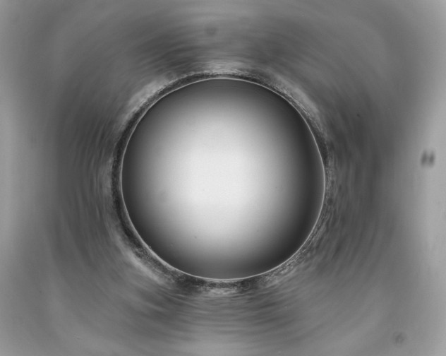X0000094170155200710261117