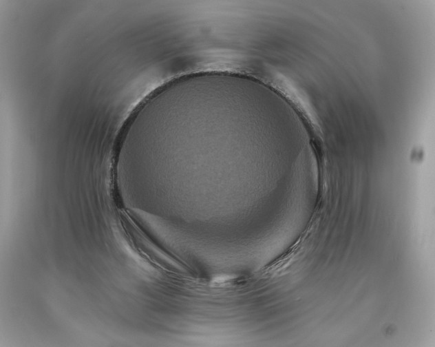 X0000094170156200710261117