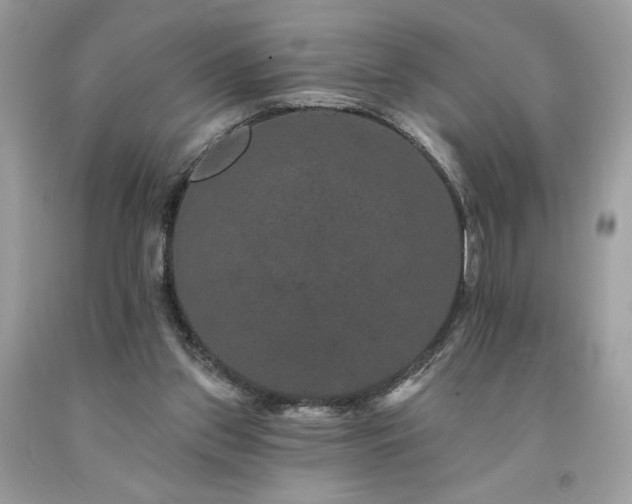 X0000094170157200710261117
