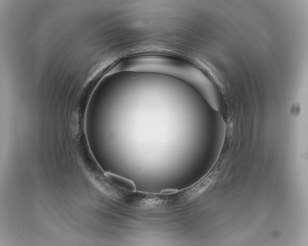 X0000094170158200710261117