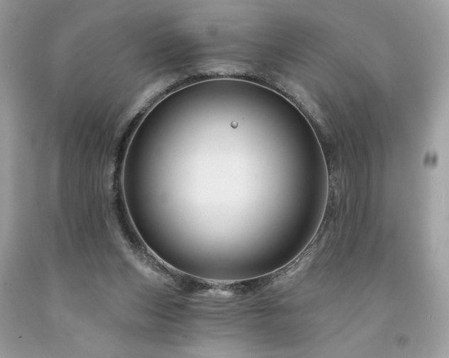 X0000094170159200710261117