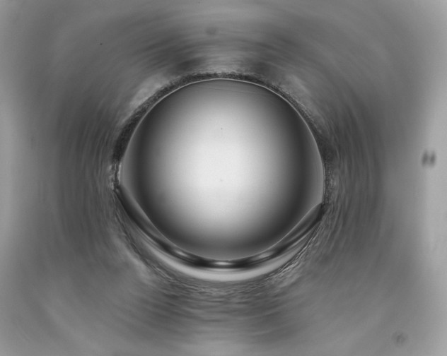 X0000094170160200710261117