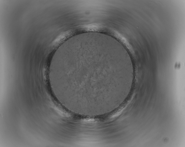 X0000094170161200710261117