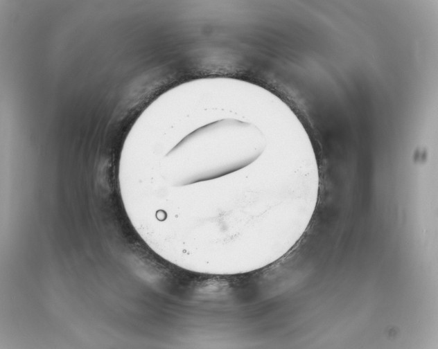 X0000094170162200710261117