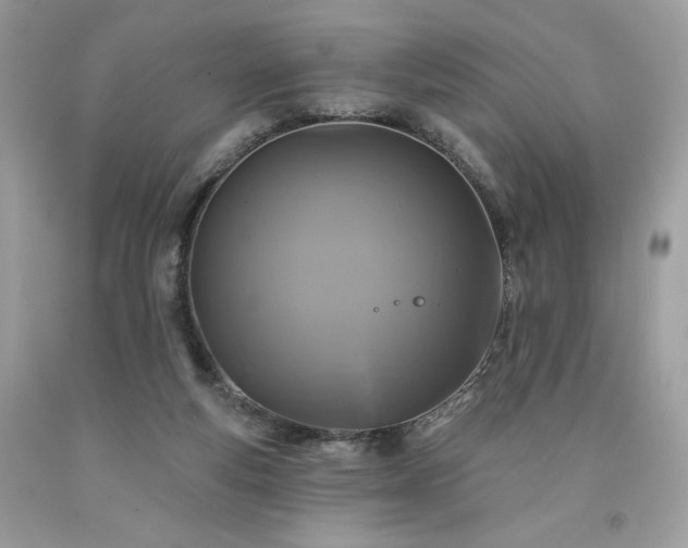X0000094170163200710261117
