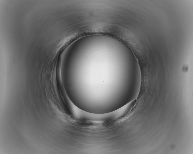 X0000094170164200710261117