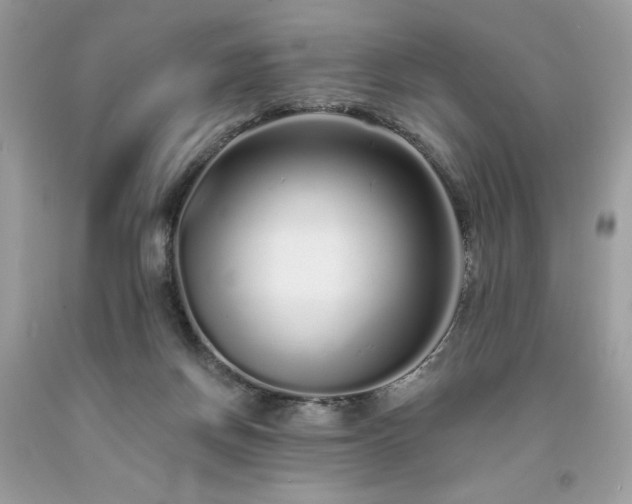X0000094170166200710261117