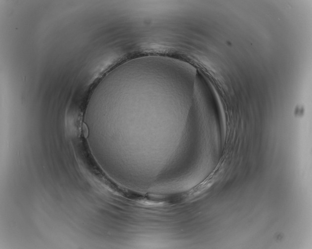 X0000094170168200710261117
