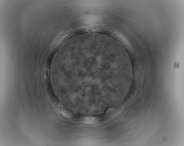 X0000094170169200710261117
