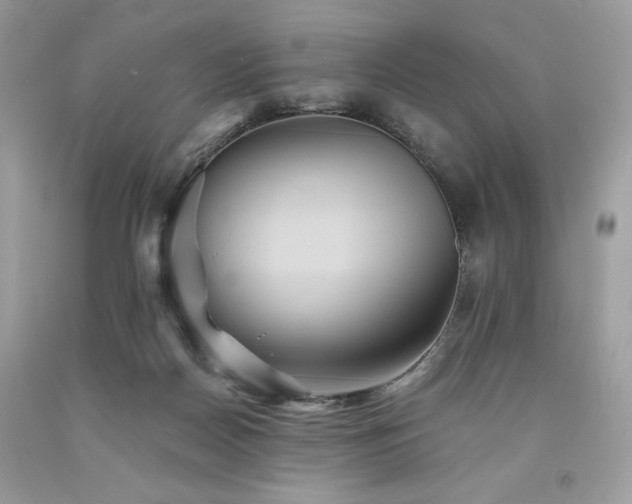 X0000094170170200710261117