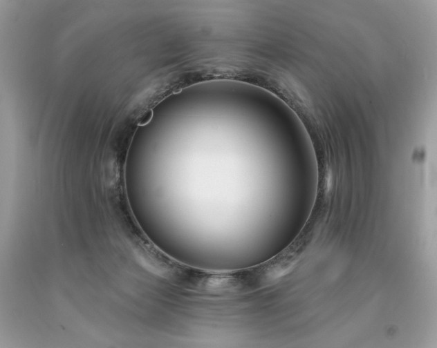 X0000094170173200710261117