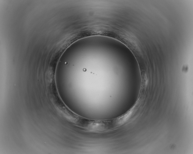 X0000094170174200710261117