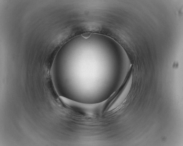 X0000094170176200710261117