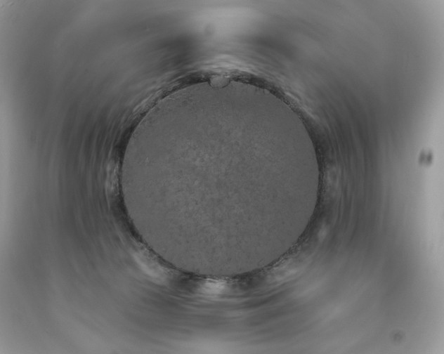 X0000094170177200710261117