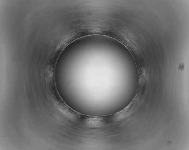 X0000094170179200710261117